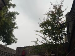 -四喜小胖·北京涮肉(五道营店)