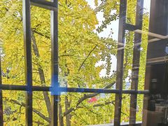 -奇芳阁·百年清真南京菜(夫子庙店)