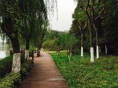 -上海市保健医疗中心(华东疗养院)