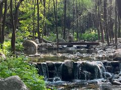 -玉渡山自然风景区