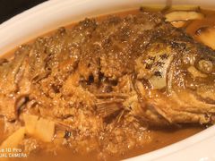 -阿五黄河大鲤鱼(纬三路店)