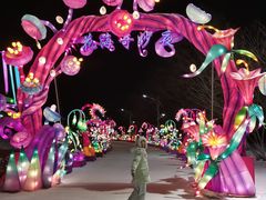 -沈阳奥体冰雪嘉年华