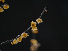 -颐和园