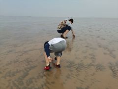 -南汇嘴观海公园