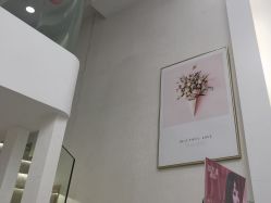 -MIDA蜜哒•科技逆龄美肤连锁