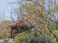 -上海醉白池公园