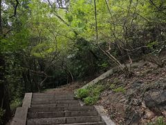 -北极阁公园