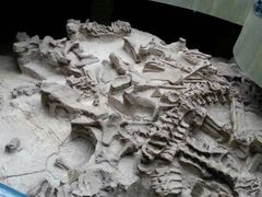 iphone_upload_pic-自贡恐龙博物馆