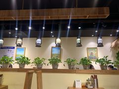 大堂-茶花妹子云南餐厅(传媒大学店)