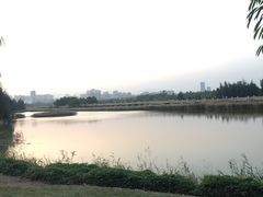 -五里桥文化公园-西侧停车场