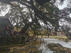 -福建土楼（南靖）云水谣景区-和贵楼