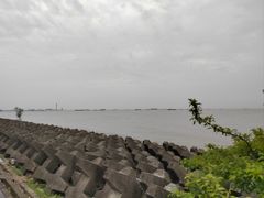 -上海滨江森林公园