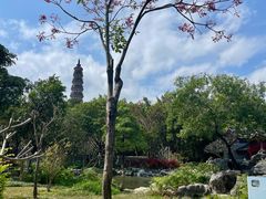 -顺峰山公园