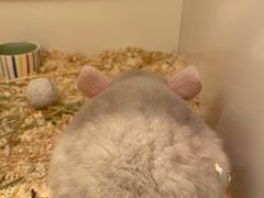 -龙猫仔乐园(惠福东路店)