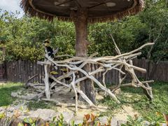 -上海野生动物园
