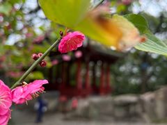 -乌山风景区