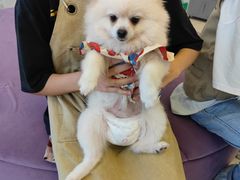 -怪兽屋·羊驼·猫咖·狗咖(俊华广场店)