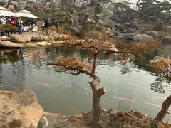 -罗红摄影艺术馆