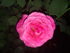 -咸阳湖景区-统一广场