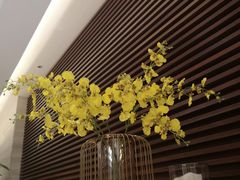 -春满园·早茶·粤菜·宴会(喜宴店)