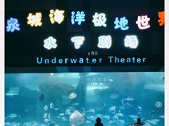 -泉城欧乐堡海洋极地世界