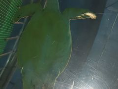 -福州罗源湾海洋世界旅游区