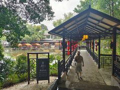 -侨美·唐荔园·40年地道粤菜