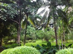 -西双版纳原始森林公园