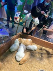 -酷嗒动物文化乐园(cutezoo西溪乐天城店)