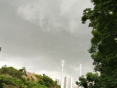 -重庆彩云湖湿地公园