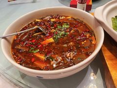-沪碟·精菜坊(闵行店)