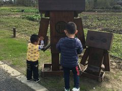 -田园东方蜜桃村的田野营地