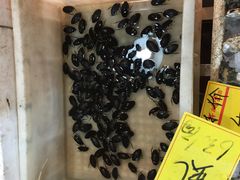 -鸿达渔港