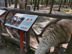 -昆山城市生态森林公园