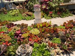 -春树下·树屋花房西餐厅(罍街AS1980店)