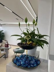 -成都西区医院整形美容