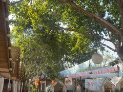 -三圣花乡旅游区