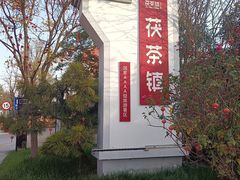 -茯茶镇