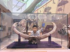 -陕西自然博物馆