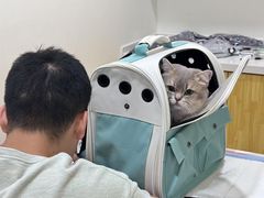 -初心动物医院