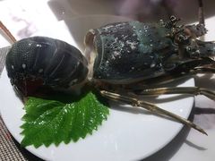 -海玥荟海鲜姿造自助餐厅(欧罗巴广场店)