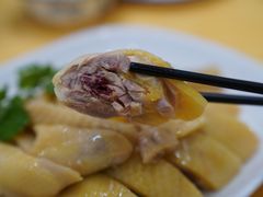 -巫记鸡饭店