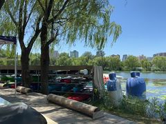 -WhaleSports户外水上运动俱乐部(朝阳公园店)