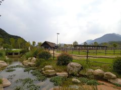 -莫干山郡安里度假酒店-桃尖中餐厅