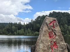 -五营红松林海景区