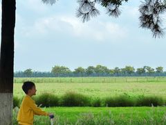 -汉长安城未央宫国家考古遗址公园