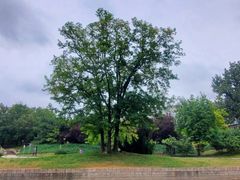 -元大都城垣遗址公园