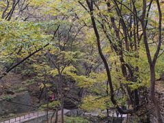 -北京上方山国家森林公园