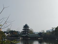 -桂湖森林公园