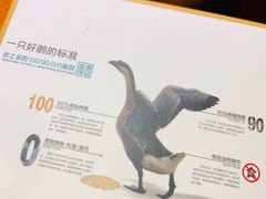 -优之名鹅城